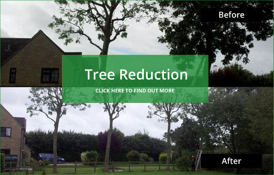 tree reduction